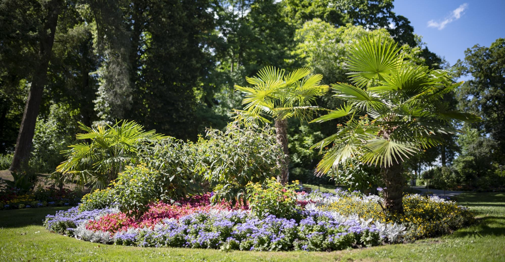 Foto: Ilja Mess Stadtgarten Stockach, schön bepflanzt