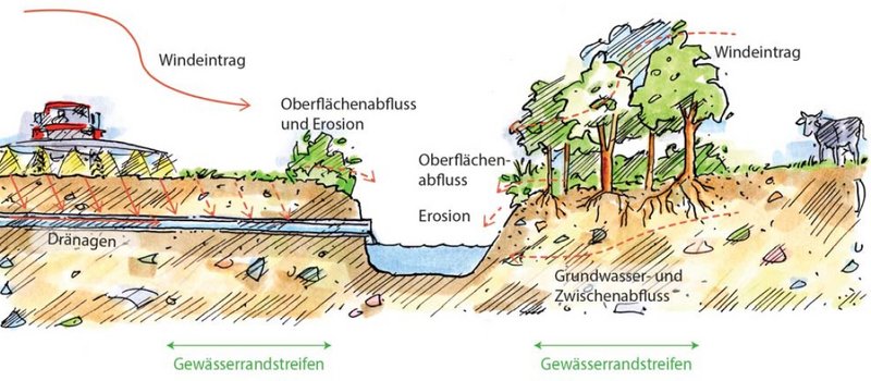 Zeichnung zur Verdeutlichung der Gewässerrandstreifen 