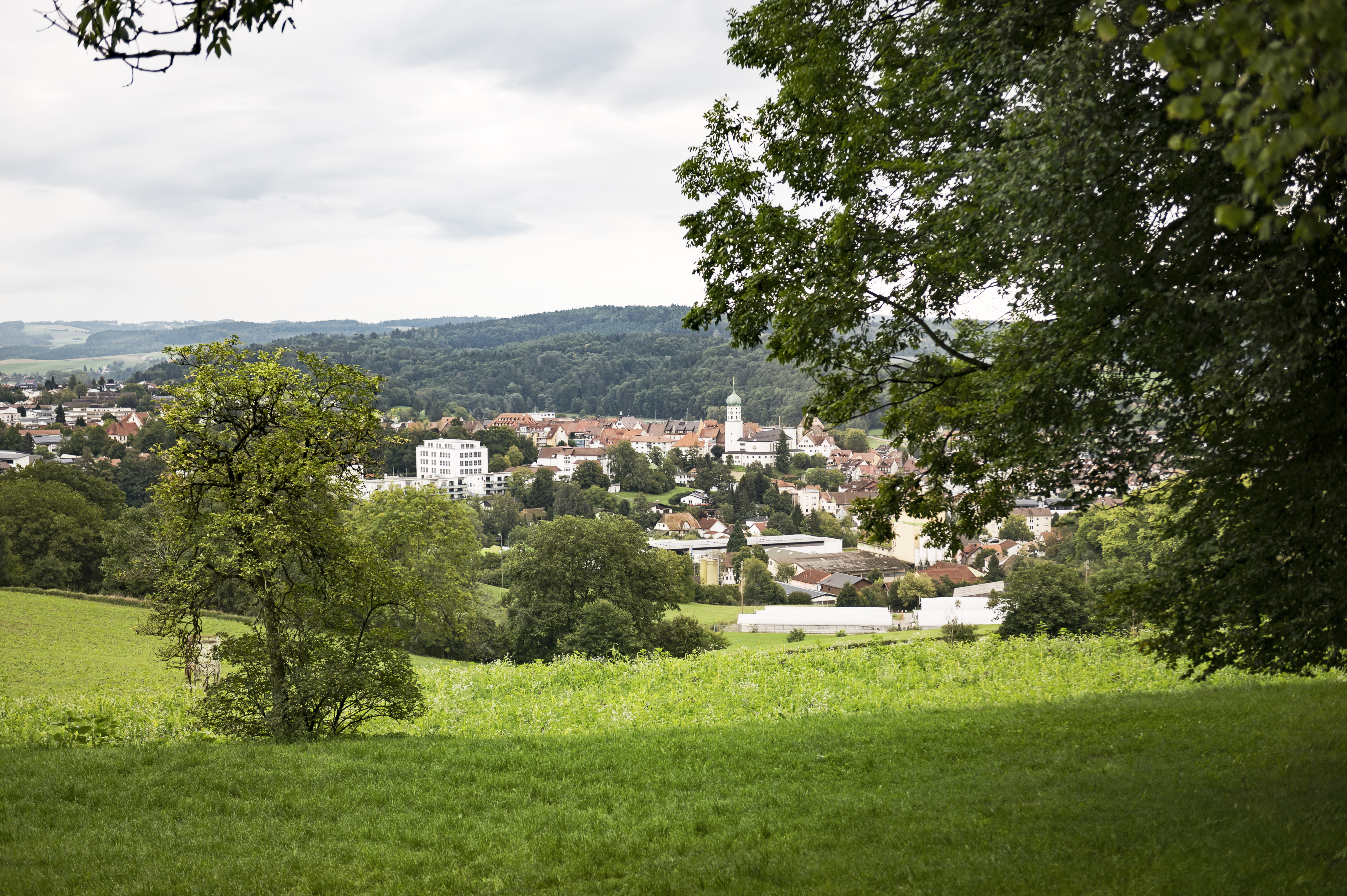 Foto: Ilja Mess Blick auf Stockach