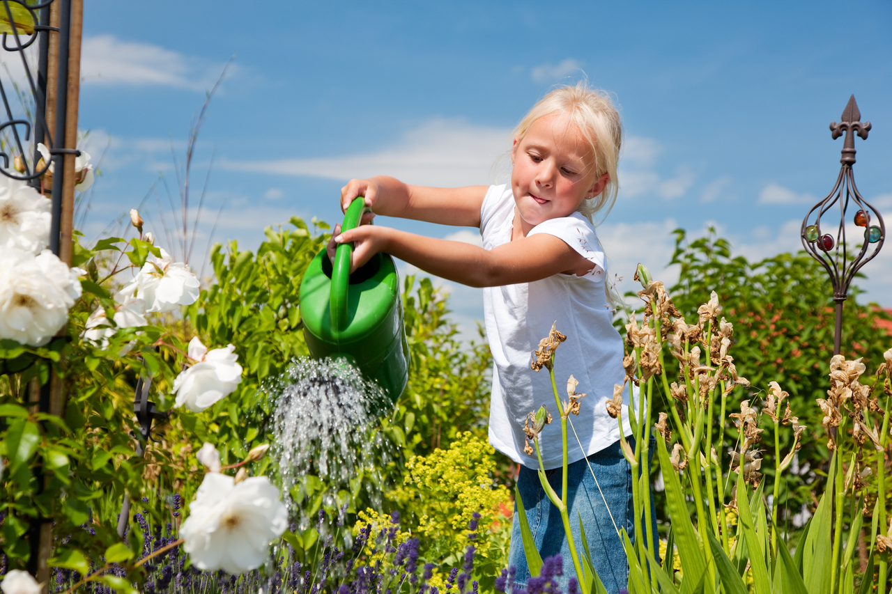 Ein Mädchen gießt eine Blumenwiese